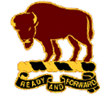 distinctive unit insignia of
10th Cavalry Regiment