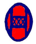 snowshoe motif of 30th Infantry
shoulder patch