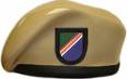 tan beret with flash of 75th
Ranger regiment