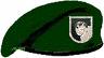 beret with flash of Special
Operations Command