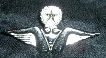 unofficial bush pilot badge