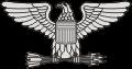 Colonel rank insignia
