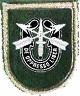 5th Special Forces Group
beret flash