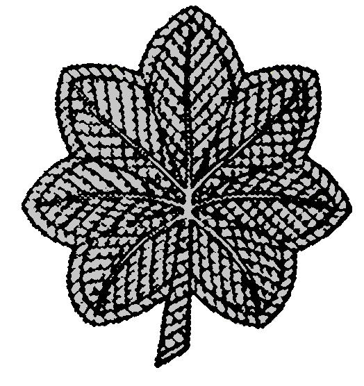 Lieutenant Colonel rank
insignia