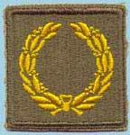 1944 sleeve-version of
Meritorious Unit Commendation