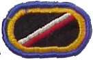 parachute badge background
trimming for 160th Infantry
