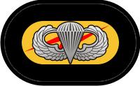parachute badge background
trimming for 75th Ranger Regiment