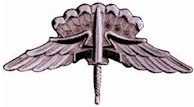 U.S. Army Military Free Fall
parachutist badge