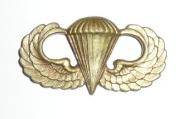 gilded Army parachutist badge
commemorates 100 jumps