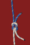 reef knot