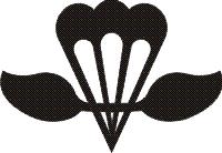 U.S. Navy rigger badge