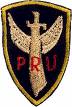 patch for the Provincial
Reconnaissance Unit of Phoenix