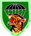 Mike Force
Command patch