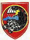ARVN SCU patch