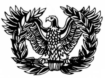 Army Warrant Officer cap
badge